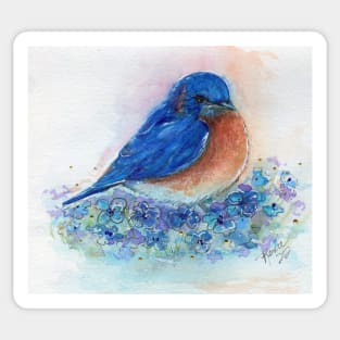 Tiny Eastern bluebird by Renee Lavoie Sticker